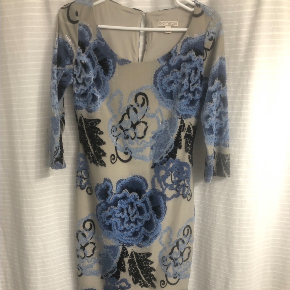 Eva Mendes New York and Company Dress